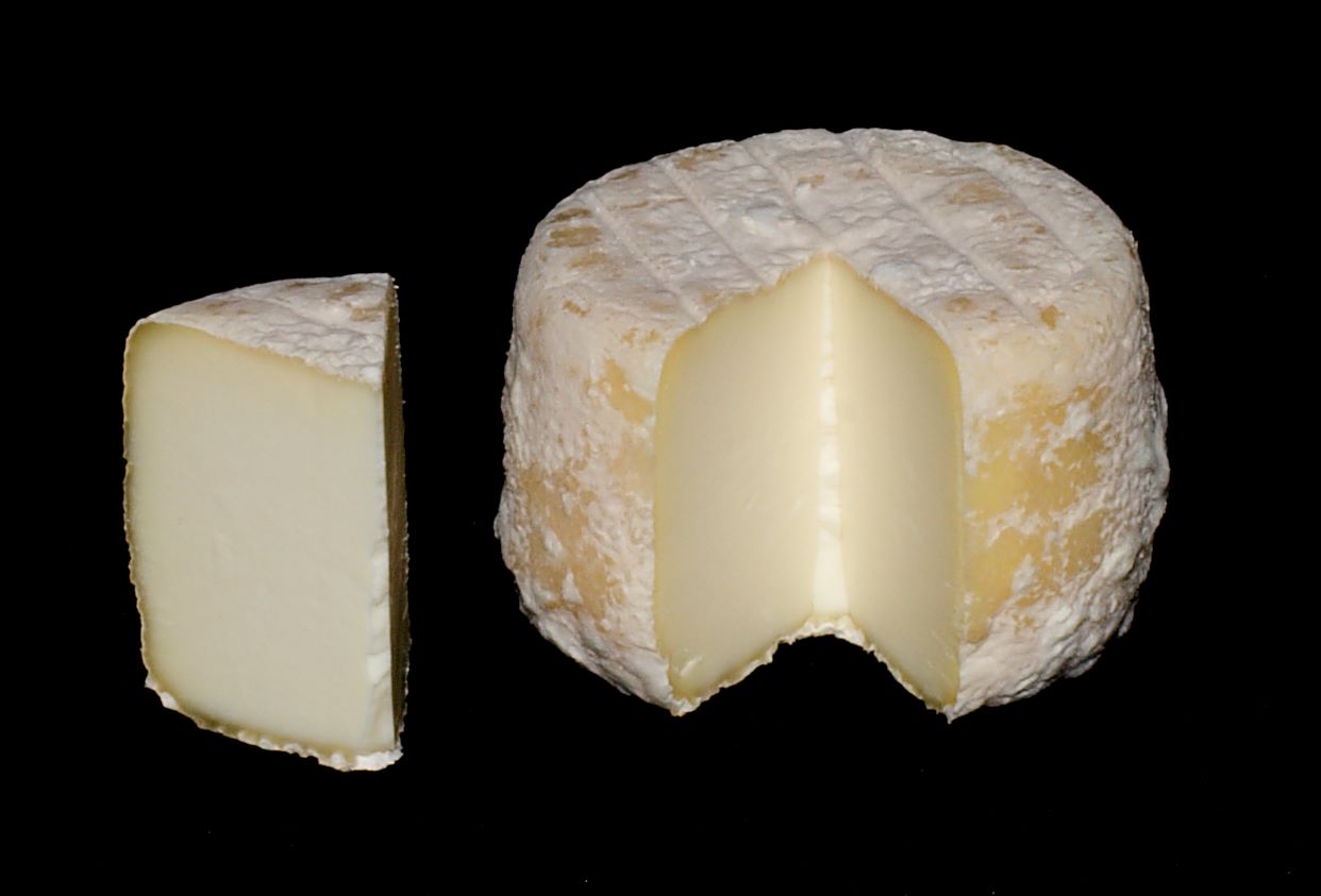 Chavignol : fromage AOP français