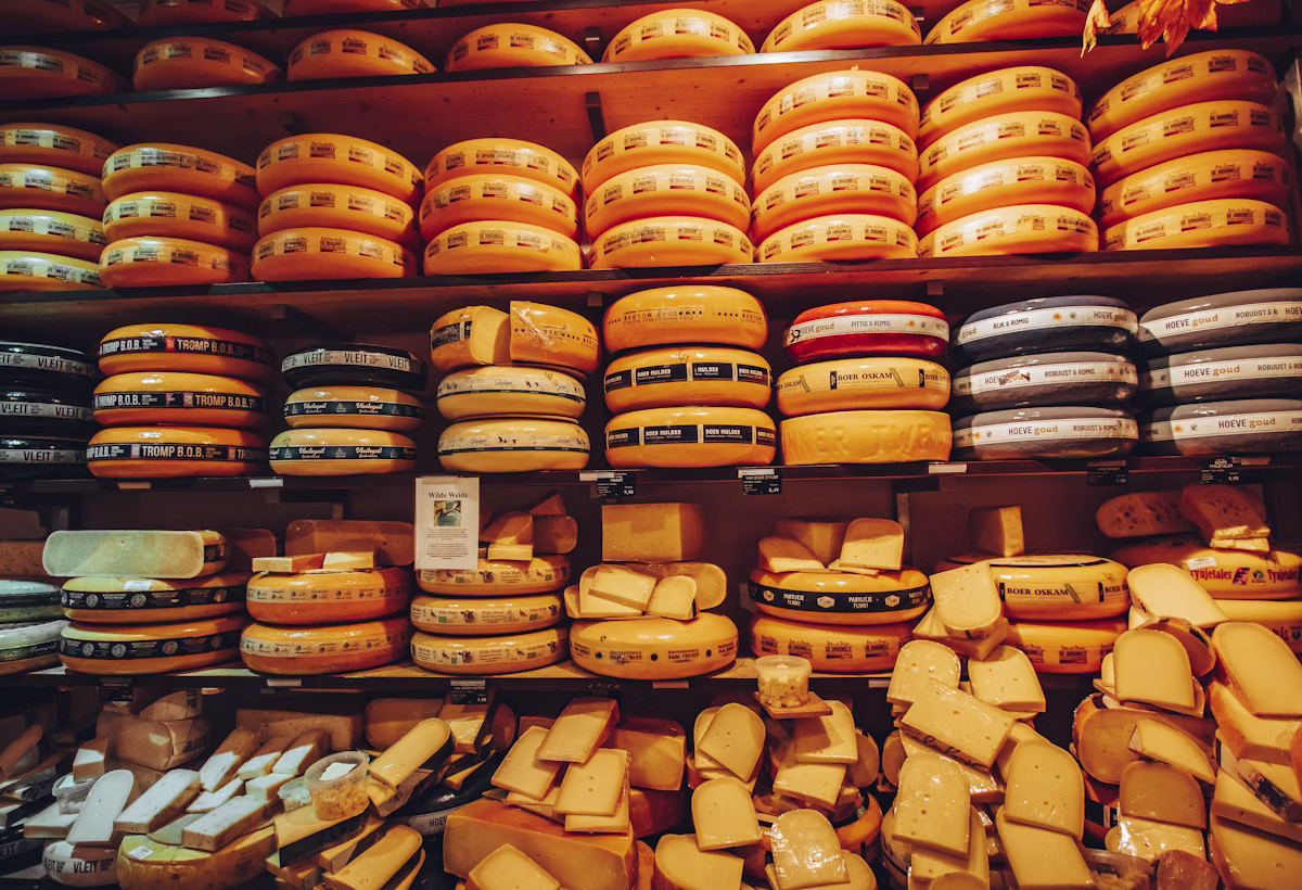 Fromage du Jura à pâte pressée pour explorer les régions fromagères